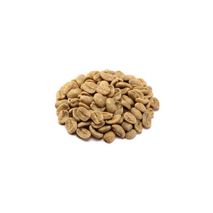 尼加拉瓜 希諾特加 聖塔安娜莊園 爪哇長豆種 水洗 (Nicaragua Jinotega Santa Ana Aida Lila Zeledon Java Washed) 200g